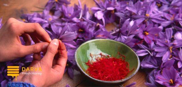 important factors affecting the price of saffron