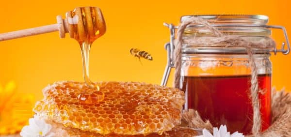 benefits of eating honey before an exercise